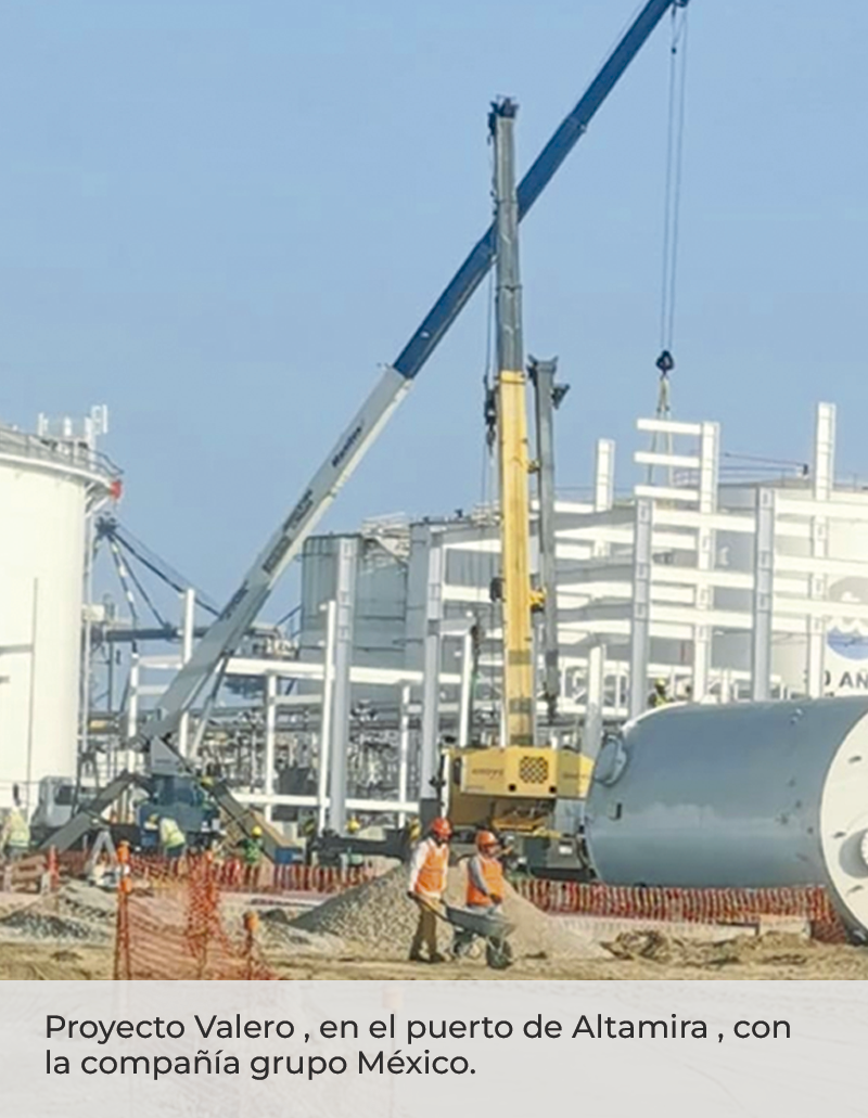Comercializadora e importadora Milena